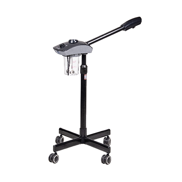 IK – 20 face Steamer