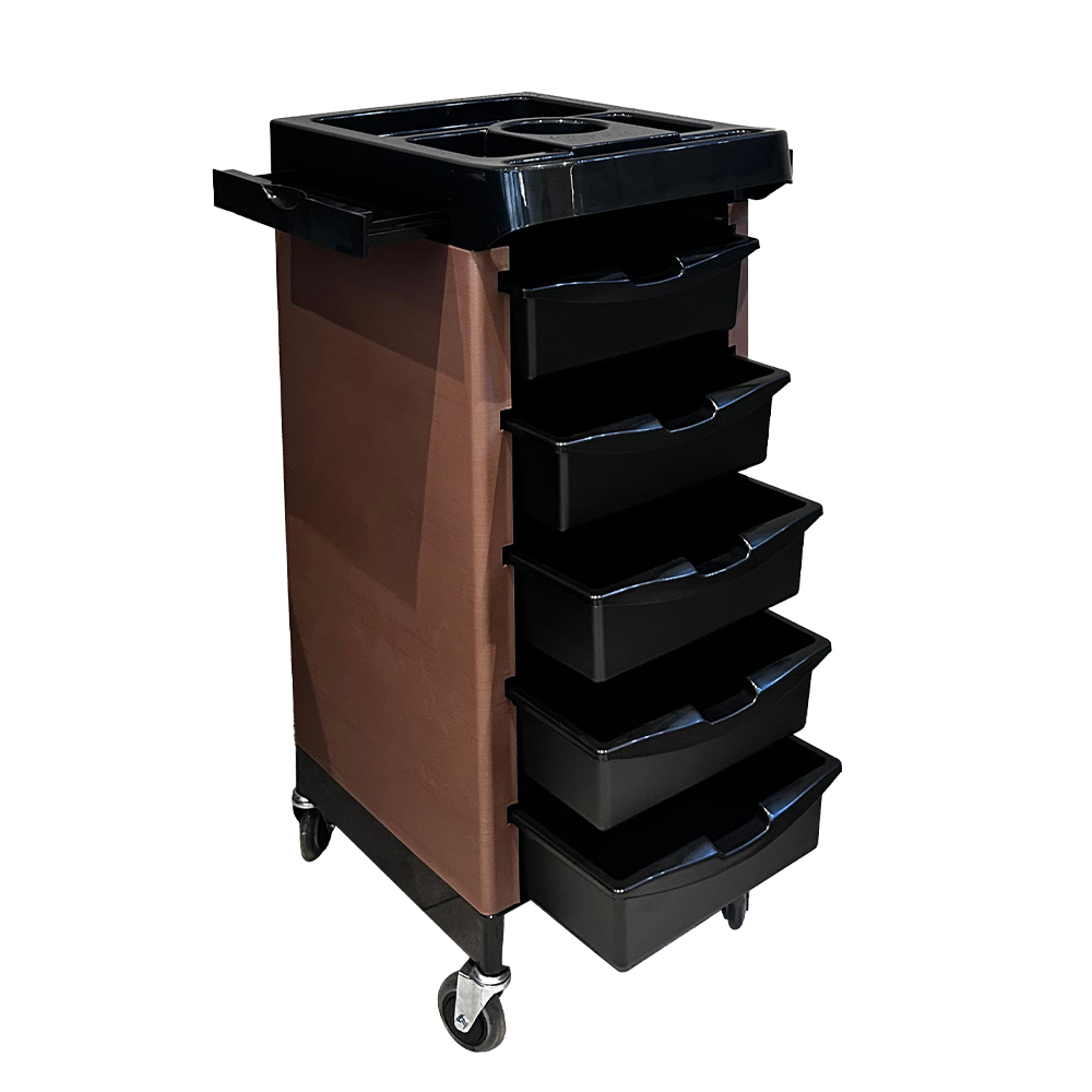 IK-X103 HAIR TROLLEY BROWN 1000×1000