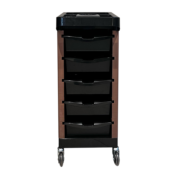 IK-X103 HAIR TROLLEY BROWN1 600×600